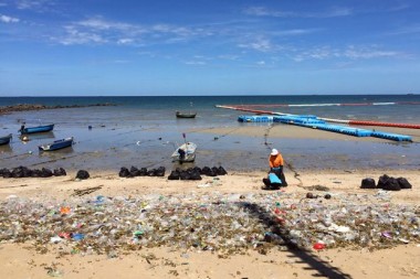 Stadtarbeiter versuchen den Wongamat Strand so schnell wie möglich vom Unrat zu säubern.