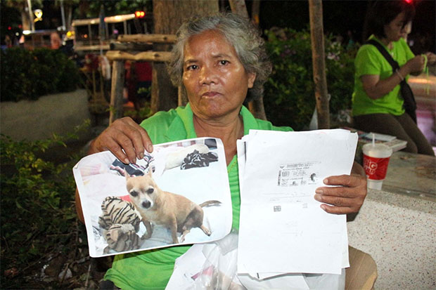 Verzweifelte Frau sucht nach ihrem gestohlenen Hund