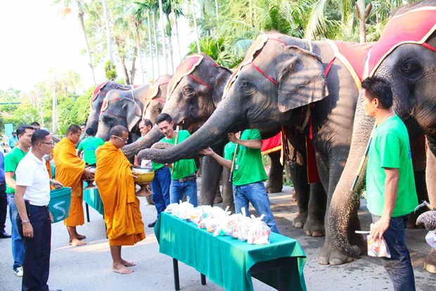 Der nationale Elefantentag beginnt mit Almosen an die Mönche. 