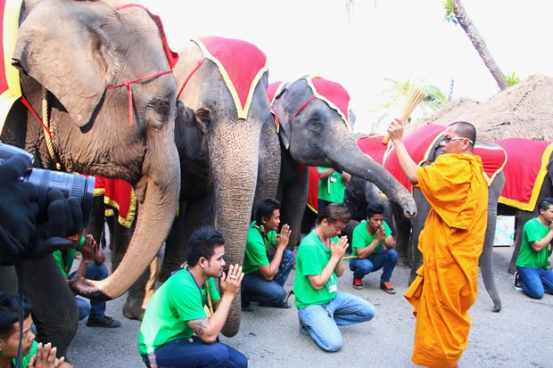 Die Elefanten verhalten sich respektvoll bei ihre Segnung. 
