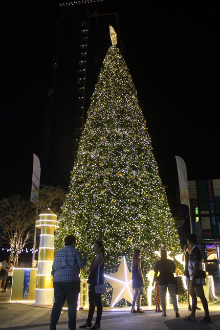 Im Central Marina herrscht weihnachtliche Atmosphäre. 