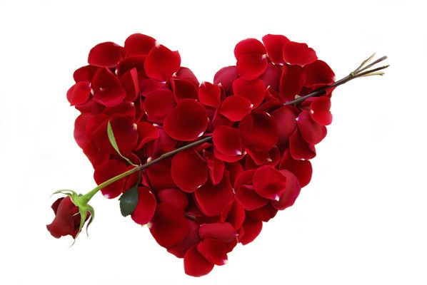 Wir wünschen  allen unseren Lesern einen schönen und verliebten Valentinstag! 