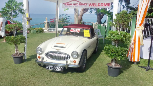 Austin Healey vor traumhafter Meer-Kulisse