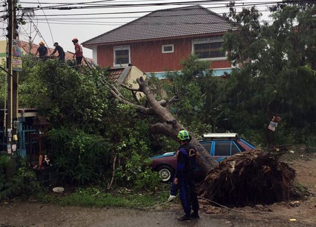 Ein umfallender Baum beschädigt Häuser und Fahrzeuge in der Soi Boonsampan.  