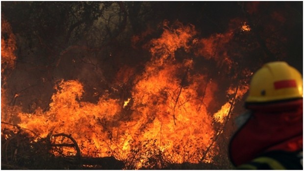 Bolivianische Einsatzkräfte bei der Brandlöschung. 