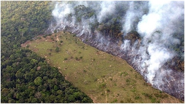 So kahl sieht der Amazonas nach den verheerenden Bränden aus. 