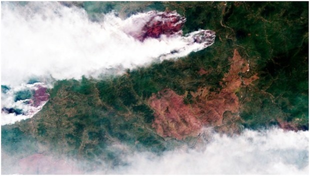 Satellitenbild der russischen Weltraumorganisation Roskosmos zeigt Waldbrände in der Region um die Großstadt Krasnojarsk. (Bild: AP)