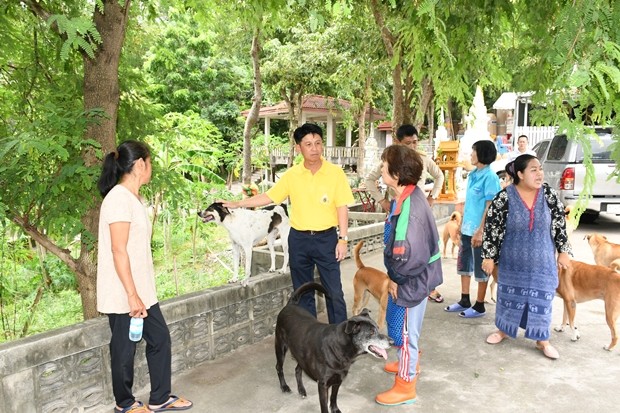 Gouverneur Pakarathorn Thienchai besucht Privatpersonen, die sich um Streuner kümmern um sie ins Netzwerk der Foundation einzubauen. 