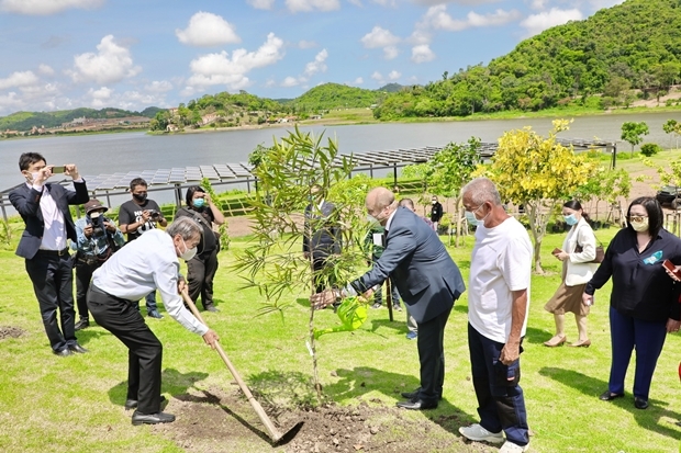 Vizebürgermeister Ronakit Ekasingh und Nong Nooch Tropical Garden Direktor Kampol Tansajja, pflanzen die Bäumchen gemeinsam mit den Angehörigen von 5 Botschaften am Fusse der Huay Toh Reservoirs.