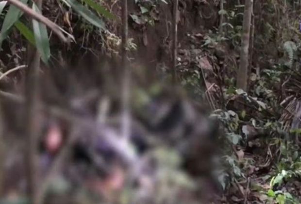 Die Leiche einer Ukrainerin wurde im Gebüsch auf Koh Samui aufgefunden. 
