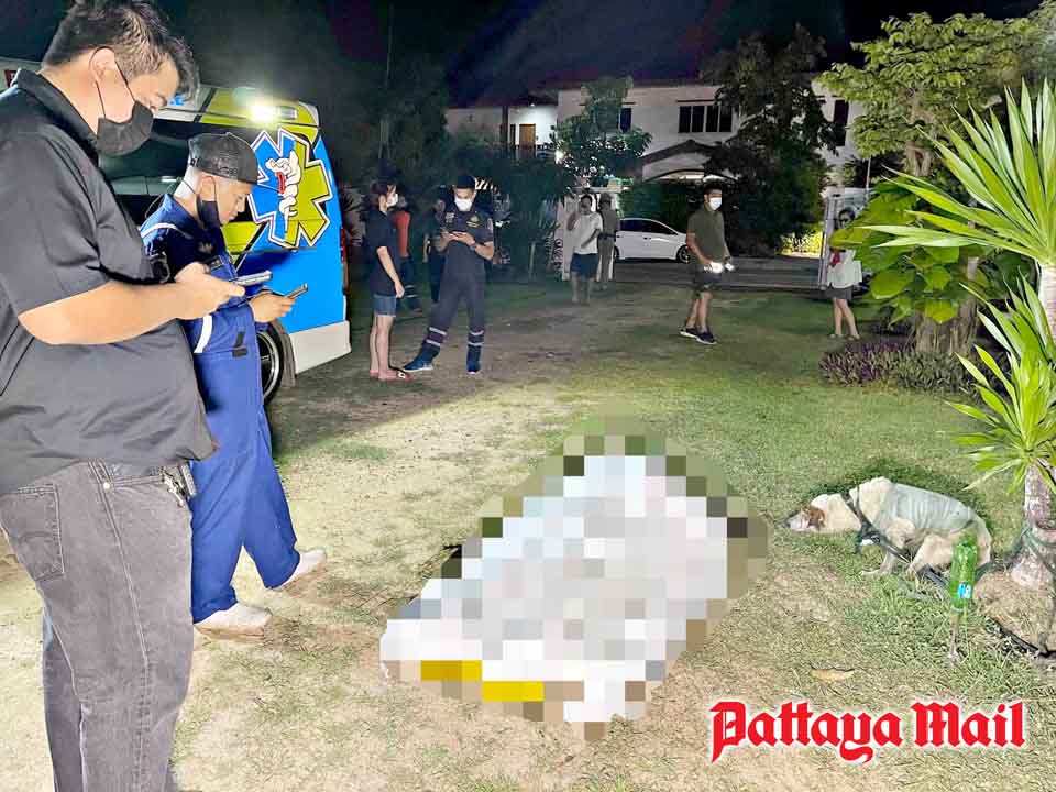 (Pattaya News 1) May 11 11 Former school director dies saving drowning dog_pm pic 1