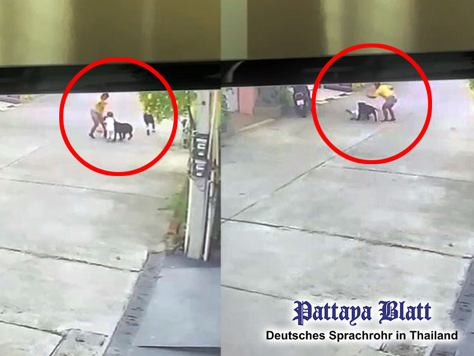 Pattaya-News-7-Pattaya-toddler-gets-200-stiches-after-dog-mauling-pic-1ab copy